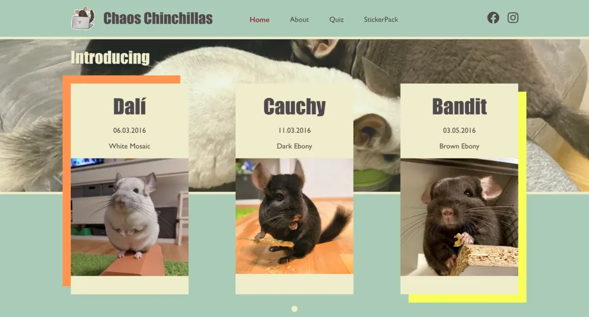 Bildschirmaufnahme der Website Chaos Chinchillas